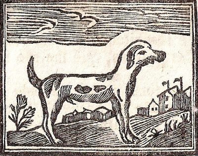 Almanacco della Campuria - Cane da pagliaio