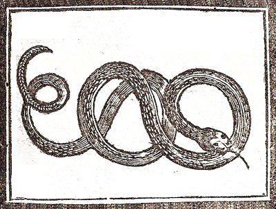 Almanacco della Campuria - Cobra