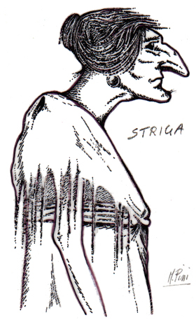 Strega