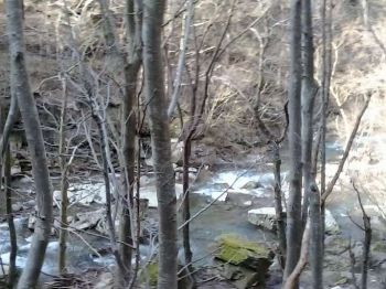 16_torrente